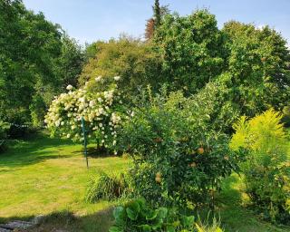 Ferienwohnung Gartenblick - Idylle am Travetal - 2