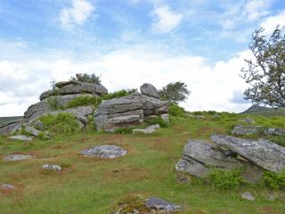 Bagtor Hayloft - Haytor - 9