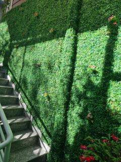 Hoa Dat Guesthouse - Da Lat - 4