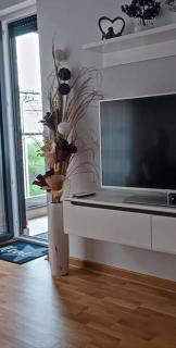 Apartman MAJA - Vrnjačka Banja - 0