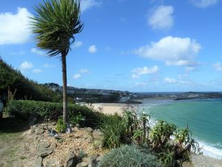 Grey Mullet Guesthouse - St Ives - 7