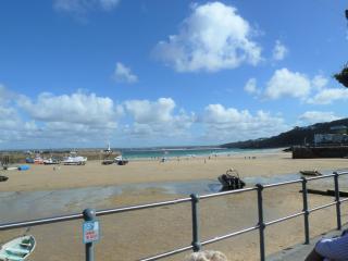 Grey Mullet Guesthouse - St Ives - 6