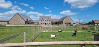 Domaine de la Dune Gite entre Terre et Mer - 0