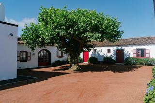 Monte Ingles - Ponta Delgada - 6