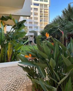 Três palmeiras with pool - 5