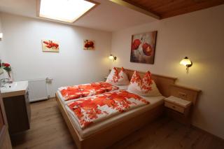 Landhaus Lehner - Sankt Michael im Lungau - 8