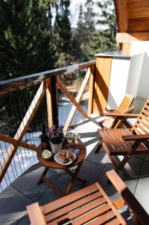 Luxusní horský apartmán v centru Harrachova - Harrachov - 7