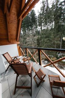 Luxusní horský apartmán v centru Harrachova - Harrachov - 5