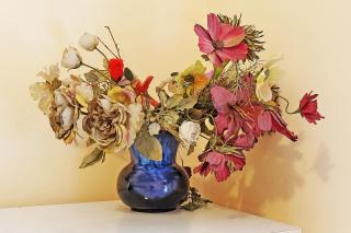 Apartment Paradise Sunny Home - Belgrado - 5