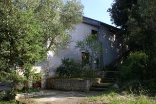 Apartment Zrnovska Banja 3154a - Korčula - 9