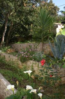 Apartment Zrnovska Banja 3154a - Korčula - 6