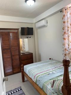 Beautiful Apartment in Roseau City - Roseau - 0