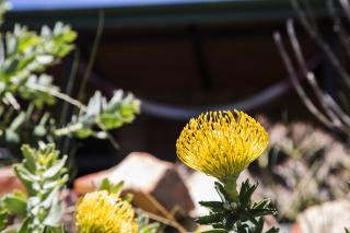 Wolfkop Nature Reserve - 1