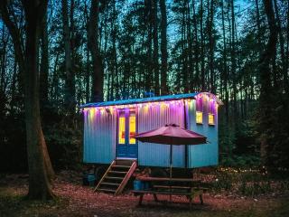 Goosewing Hut-Qu7072 - Melton Constable - 7
