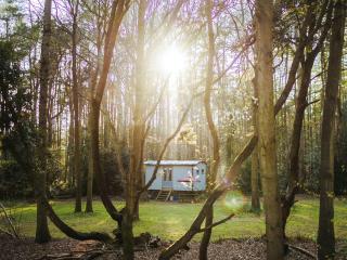 Goosewing Hut-Qu7072 - Melton Constable - 2
