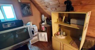 Studentiški apartamentai Palangoje - 6