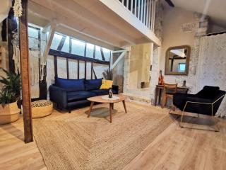 Loft atypique au calme avec cour privative - Bourges - 9