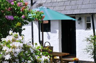 Bryn Araul - Rhydymain - 5