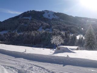 Ferienhof Almfrieden - 5