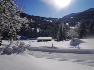 Ferienhof Almfrieden - 3