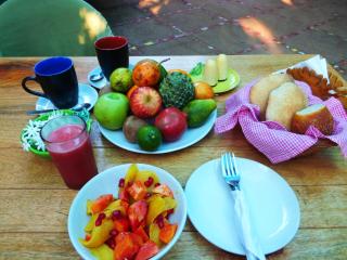 Michèle's Garden - Anjuna - 7