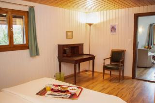 Guesthouse La Moliere, 3 bedrooms, private house, horse farm, full nature - 4