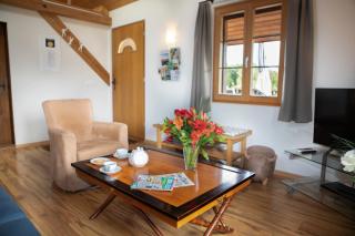 Guesthouse La Moliere, 3 bedrooms, private house, horse farm, full nature - Murist - 4