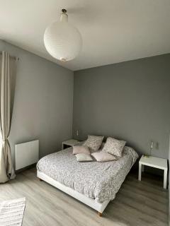 Bel appartement spacieux et lumineux hyper centre Blois - Blois - 8