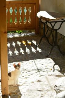 Casa de oaspeti adorabila aproape de natura - 4