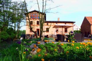 Mühle Tornow am Wentowsee - 4