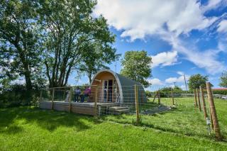 Pencastell Views Pod with Stunning Views - Nantcwnlle - 6