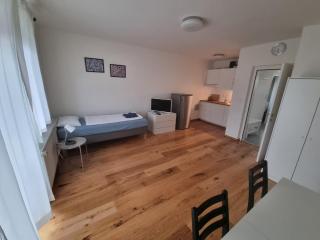 Flataid Apartmenthaus Brauhausstrasse - Graz - 6