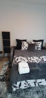 Lovely 1 bedroom vacation home with free parking. - Nizza - 7
