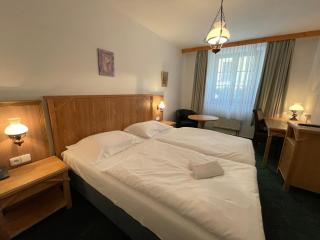 Hotel Ennius - Klatovy - 9