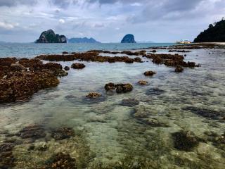 Koh Ngai Sea Open Resort - 1