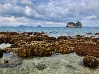 Koh Ngai Sea Open Resort - Ko Ngai - 3