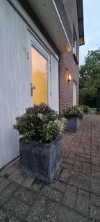 Bij Ons Naast - Nuenen - 1