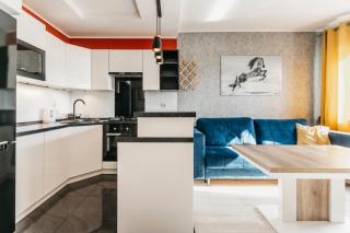 Nocosfera Apartament Stawiszyński - Kalisz - 9