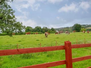 Sgubor Llwyndu - Bettws - 1