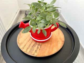 3 rooms apartment Airy & Bright Palas Style - 7