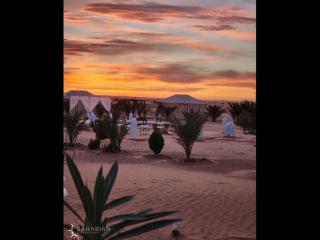 Room in Bungalow - Saharian Luxury Camp - Tisserdmine - 3