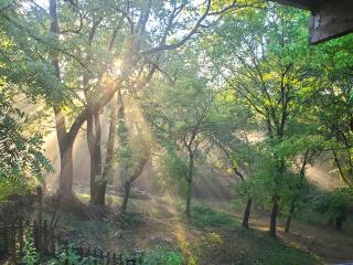 5 Ojo Inn Bed and Breakfast - Eureka Springs - 2