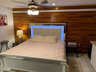 DELUXE STUDIO & PET FRIENDLY - 1