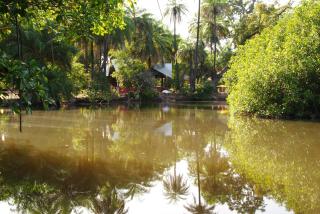 AbCa's Creek Lodge - Bintang - 5