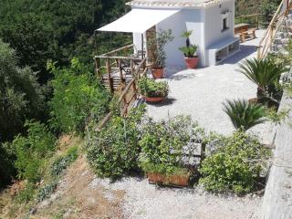 Amalfi Coast - Mini Cottage vista mare con giardino - Vietri - 5