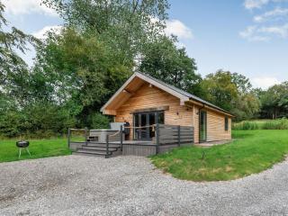 Dwrgi - Uk32923 - Cwrt-newydd - 9