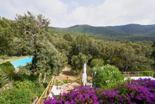 Cottage Punta Ala Residential Area with Pool - Punta Ala - 2