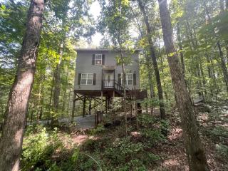 Serenity Escape Treehouse on 14 acres near Little River Canyon - Fort Payne - 5