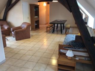 Appartement spacieux et lumineux au centre ville - 8