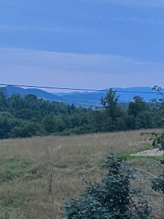 Andrzejówka - Kocoń - 9